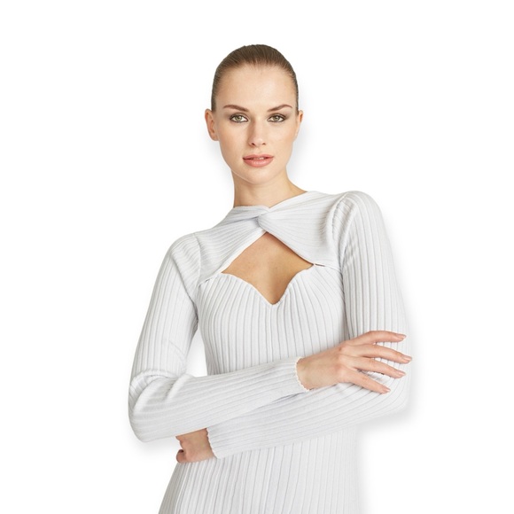 AMUR Vivian Dress (PERFECT fall/winter dress) - Picture 2 of 4